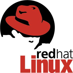 "The Power of Red Hat Linux"