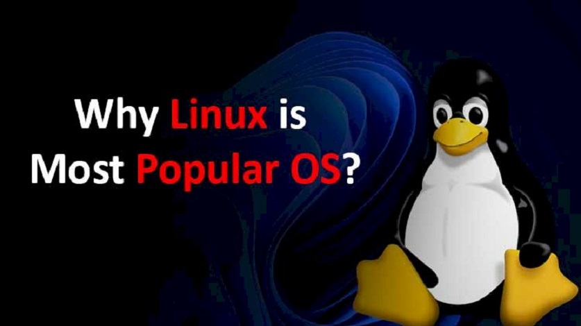 Why Linux is Popular OS?
