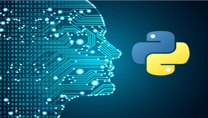 Why Python is Widely Used for ML